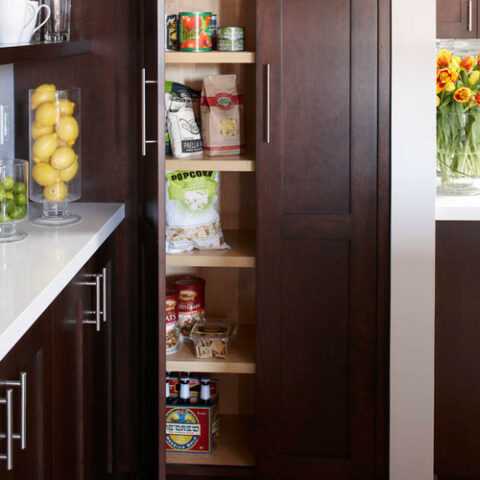 Reach-in Pantry, kitchen food storage